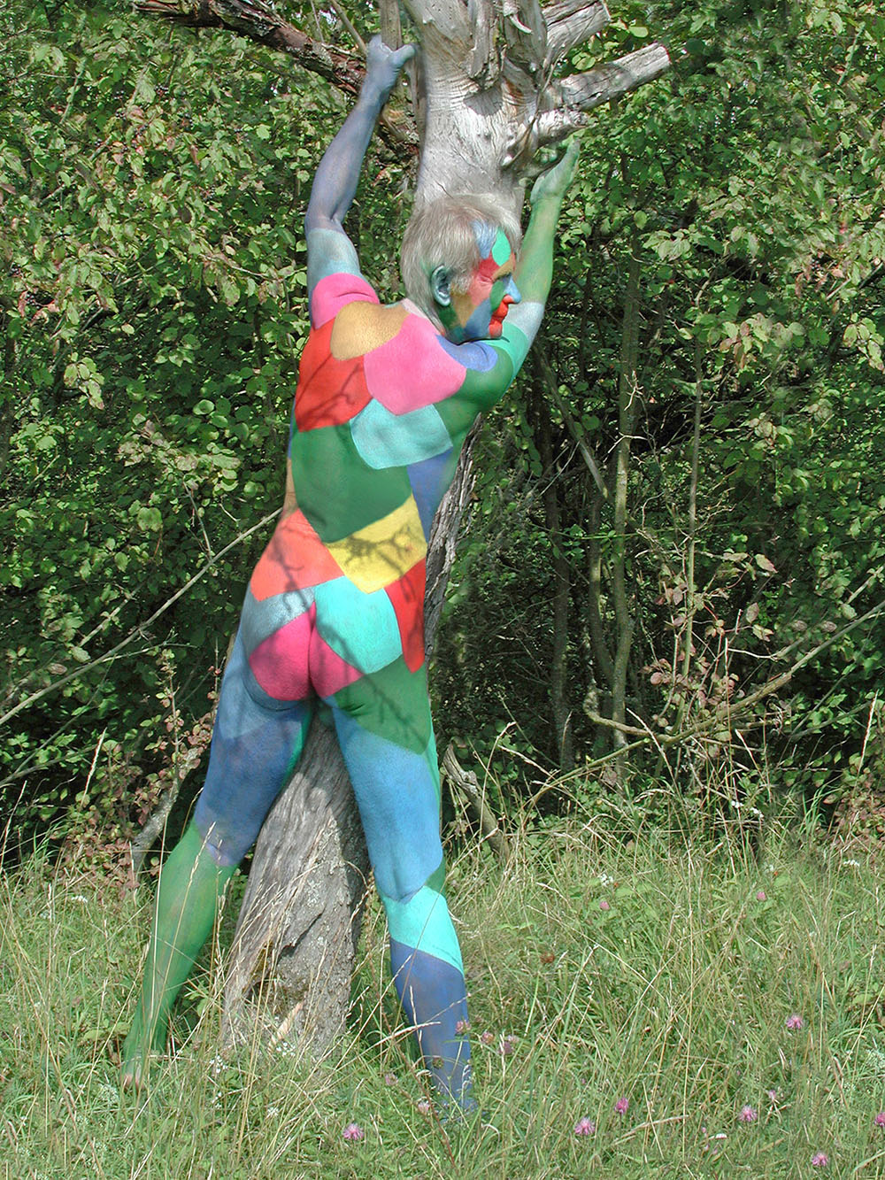 FKK - Bemalter Mann, nackt und frei in der Natur - Bodypainting, Körperbemalung, Körpermalerei